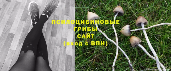 дмт Гусь-Хрустальный