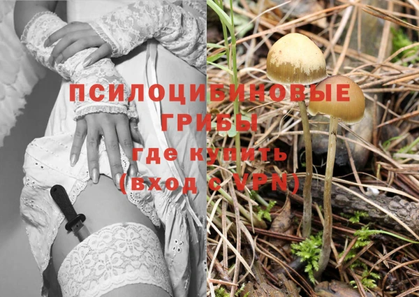 дмт Гусь-Хрустальный