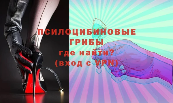дмт Гусь-Хрустальный