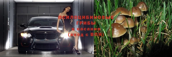 дмт Гусь-Хрустальный