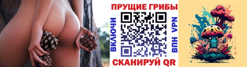 Купить закладки  Барабинск  Галлюциногенные грибы ЛСД 